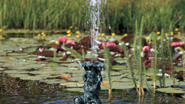 “Water Power&rdquo;, the new forum for innovations 