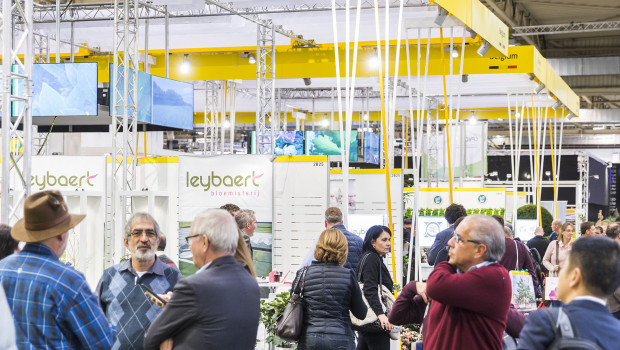 Around 70 exhibitors from Belgium will show their products at IPM Essen.