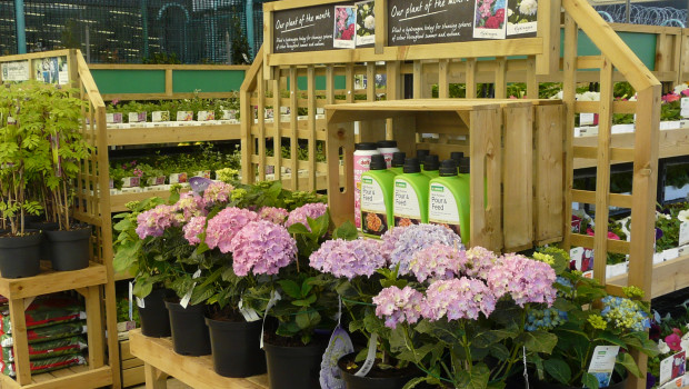 According to the Horticultural Trades Association, the market for garden plants in Great Britain reached a volume of GBP 1.424 bn in 2017.