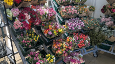 Flower and plant market proves resilient