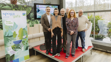 Press Conference Under the Palms