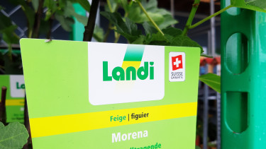 Landi turnover grows by 0.3 per cent in 2025