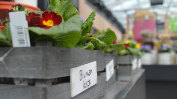 Garden and zoo retailers report significant decline in first quarter