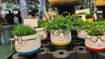 IPM visitor numbers on par with last year