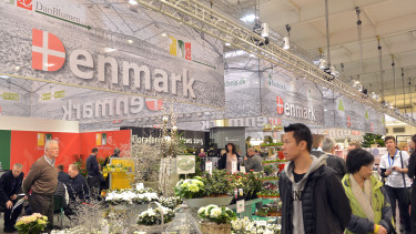 More exhibitors than ever