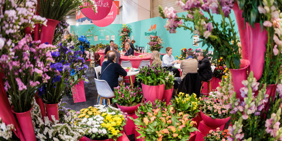 Floral splendour in Essen in January and “the IPM is finally back” with a sigh of relief heard more than once.