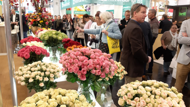 At IPM Essen 2024, more than 1 400 exhibitors from around 50 nations will showcase innovations in the fields of plants, technology, floristry and equipment.