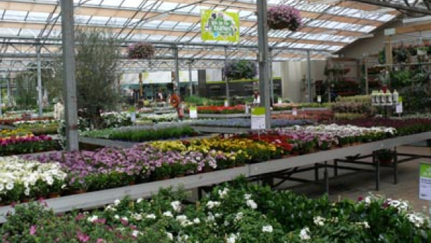Belgian consumers mainly buy garden products in garden centres.