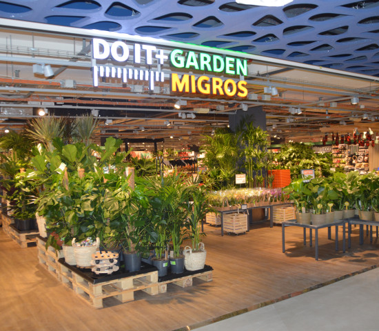Indoor plants dominate the entrance of the store.