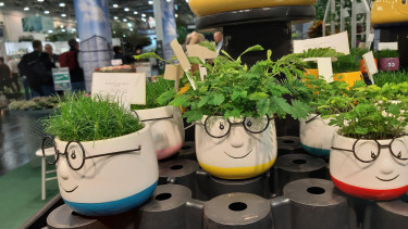 IPM visitor numbers on par with last year