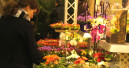 Ornamental plants in France