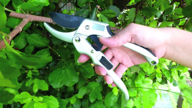 Roll pruner with non-slip and soft grip 