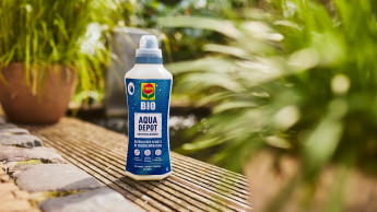 Natural protection against heat and drought