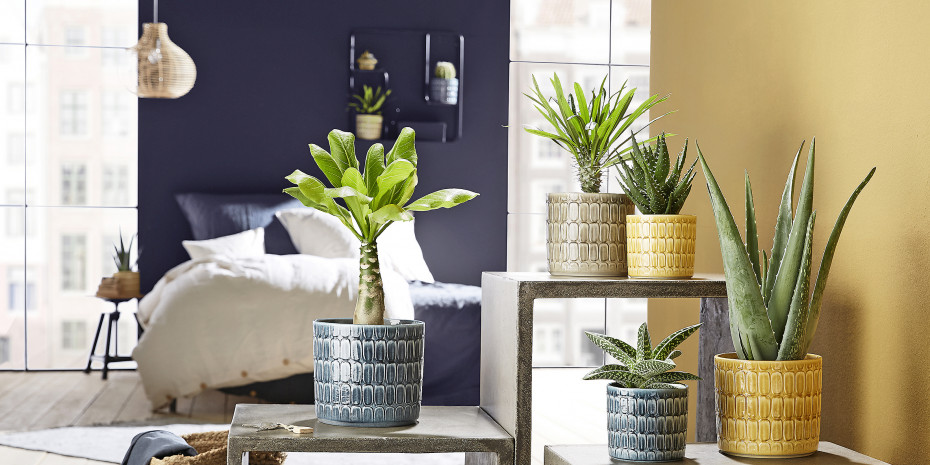 Plant-Style-Group, ceramic plant containers from Scheurich
