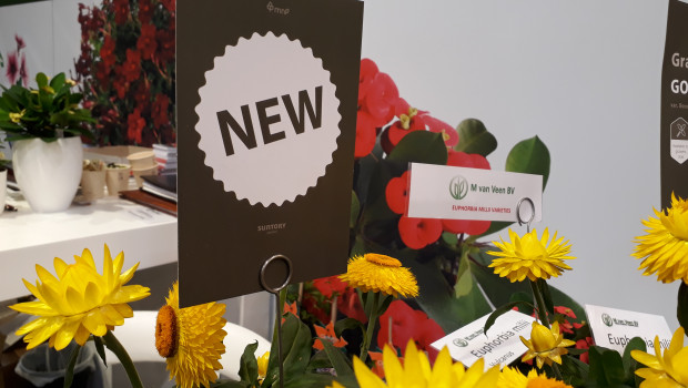 IPM Essen is an important platform for the international plant and gardening industry to present their novelties and to strengthen their networks.