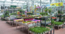 Top 15 in German garden retailing increase sales by double digits