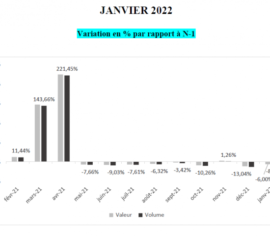 Home improvement stores in France: growth rates per month 2022/2021.