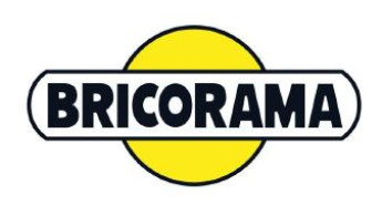 Bricorama had a year marked by growth