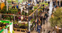 Italy posts record production in the flower and nursery sector