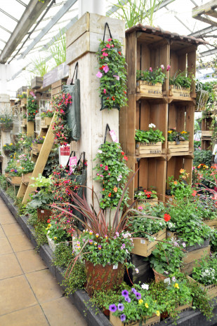UK, Garden centres, plants
