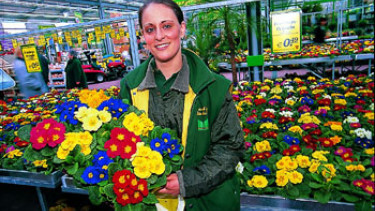 Continuing growth of retail area