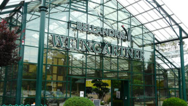 Bellandris is the large-format garden centre channel serviced by Sagaflor.
