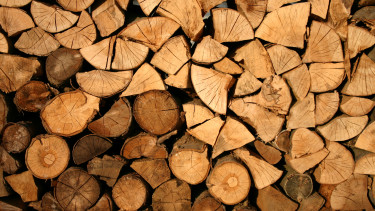 PEFC: Wood from Russia and Belarus is considered conflict wood