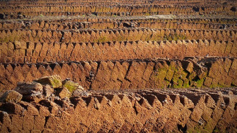 Swiss aim to reduce peat in potting compost