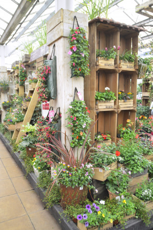 London, garden centre, plants
