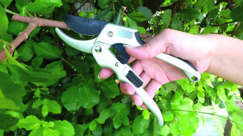 Roll pruner with non-slip and soft grip 