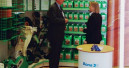 From pro business to DIY stores