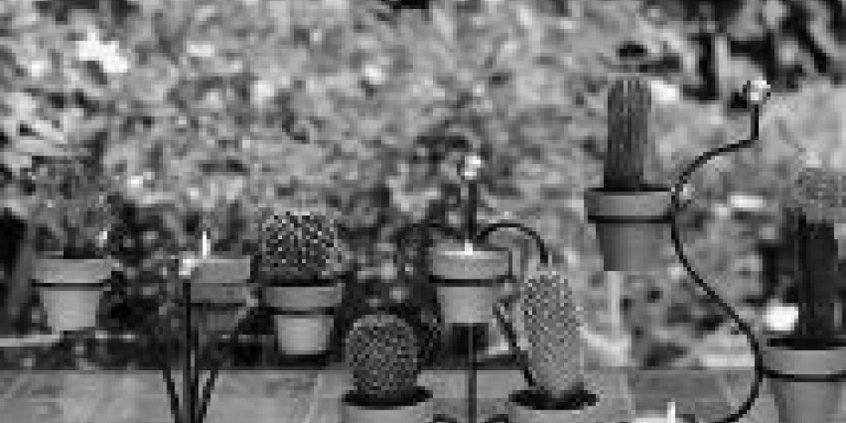 The Babylon programme of ornamental stands for cacti.
