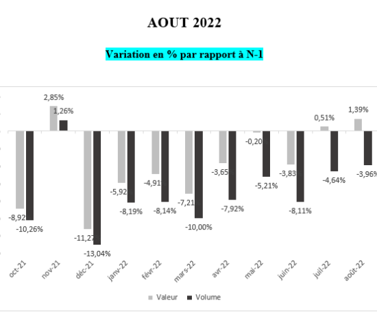 DIY stores in France: sales and volumes growth rates 2022/2021.
