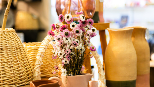 The event takes place twice a year – in spring and autumn.&nbsp;