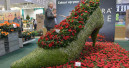 Increase in visitor numbers at IPM