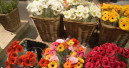 Trend towards higher-value plants and flowers comes to an end