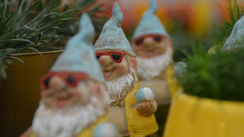 A good year for the German garden market