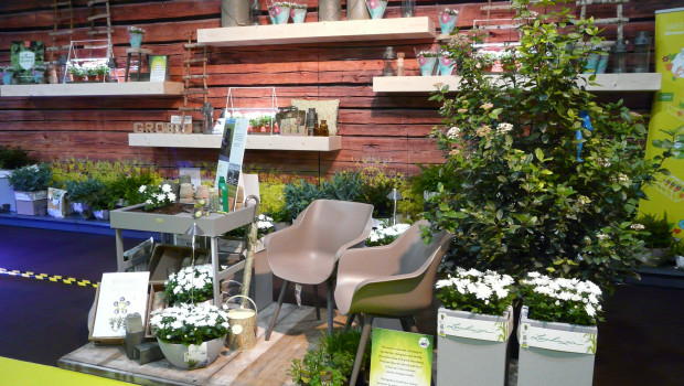 The Hortivation hotspot at the IPM presented POS ideas for horticultural retailers.