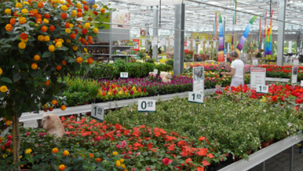 The specialist garden centres are the winners of the trend in the German garden market.