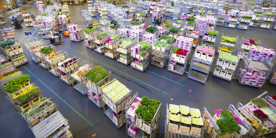 During the busiest periods of the year, Royal FloraHolland utilises internal overnight rental in order to increase the availability of auction trolleys. 
