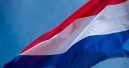 Dutch DIY stores show significant growth up to September