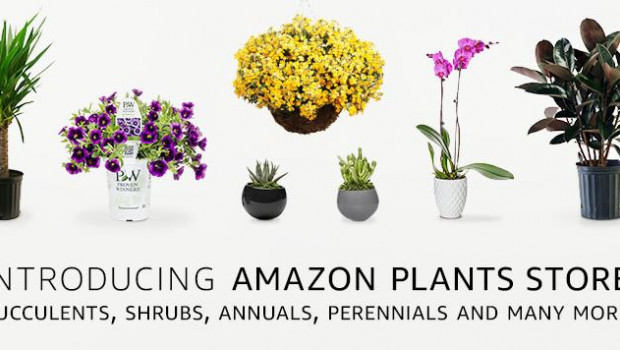 Amazon has set up a Plants Store and now will itself operate as a retailer of plants.