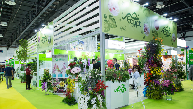 103 exhibitors from 20 countries were represented at IPM Dubai in December.