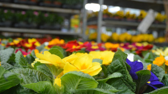 German DIY stores 4 per cent below previous year's level