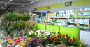 German DIY stores notch up a sales increase of 5.4 per cent