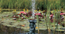 “Water Power&rdquo;, the new forum for innovations 