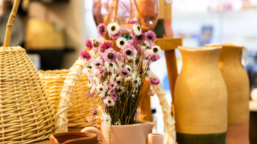 IAW celebrates anniversary in 2026