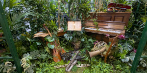 Green Gets Under Your Skin