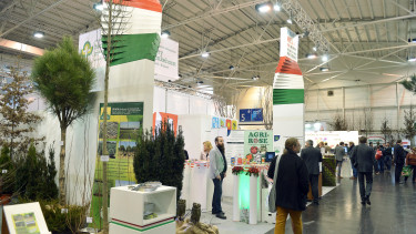 Growing international appeal