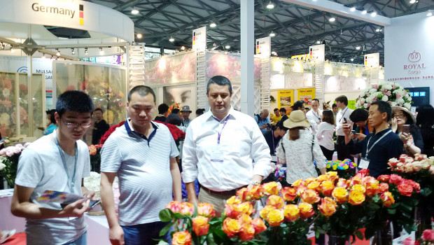 A total of 31 264 trade visitors attended Hortiflorexpo IPM in the Shanghai New International Expo Center – an increase of 57 per cent. A total of 31 264 trade visitors attended Hortiflorexpo IPM in the Shanghai New International Expo Center – an increase of 57 per cent.